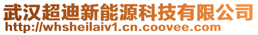 武漢超迪新能源科技有限公司