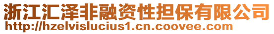 浙江匯澤非融資性擔(dān)保有限公司