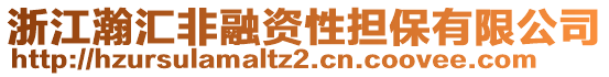 浙江瀚匯非融資性擔(dān)保有限公司