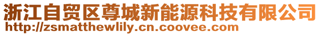浙江自貿(mào)區(qū)尊城新能源科技有限公司