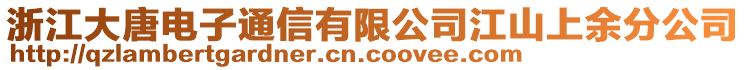 浙江大唐電子通信有限公司江山上余分公司