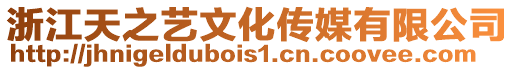 浙江天之藝文化傳媒有限公司