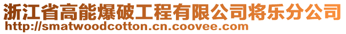 浙江省高能爆破工程有限公司將樂分公司