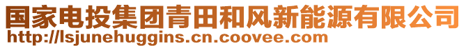 國家電投集團(tuán)青田和風(fēng)新能源有限公司