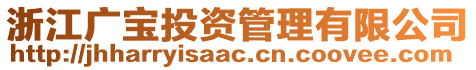 浙江廣寶投資管理有限公司