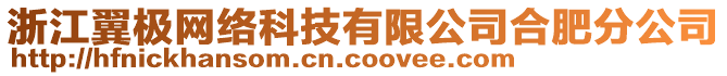 浙江翼極網(wǎng)絡(luò)科技有限公司合肥分公司