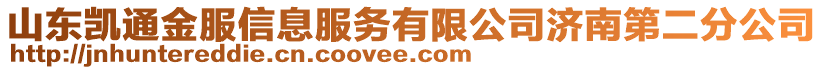 山東凱通金服信息服務(wù)有限公司濟(jì)南第二分公司