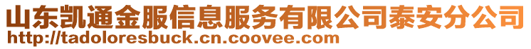 山東凱通金服信息服務有限公司泰安分公司