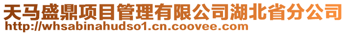 天馬盛鼎項(xiàng)目管理有限公司湖北省分公司