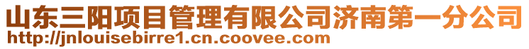 山東三陽項目管理有限公司濟南第一分公司