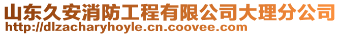 山東久安消防工程有限公司大理分公司