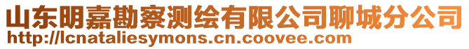 山東明嘉勘察測繪有限公司聊城分公司