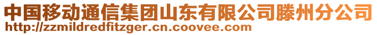 中國(guó)移動(dòng)通信集團(tuán)山東有限公司滕州分公司