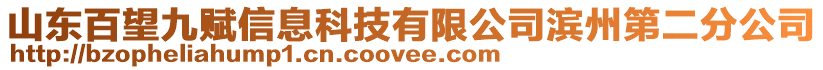 山東百望九賦信息科技有限公司濱州第二分公司