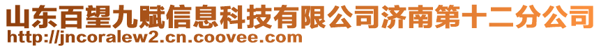 山東百望九賦信息科技有限公司濟南第十二分公司