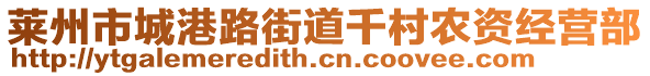 萊州市城港路街道千村農資經營部