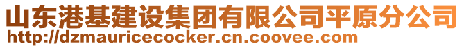 山東港基建設集團有限公司平原分公司