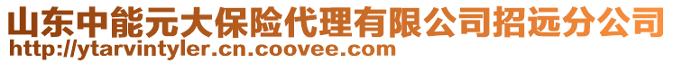 山东中能元大保险代理有限公司招远分公司