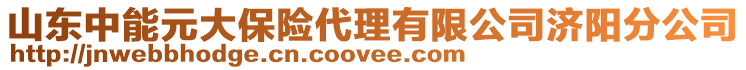 山东中能元大保险代理有限公司济阳分公司