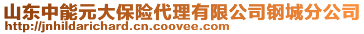 山东中能元大保险代理有限公司钢城分公司