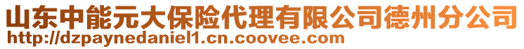 山東中能元大保險代理有限公司德州分公司