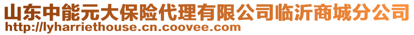 山東中能元大保險代理有限公司臨沂商城分公司