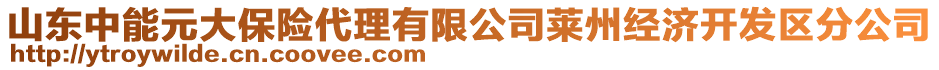 山東中能元大保險代理有限公司萊州經(jīng)濟開發(fā)區(qū)分公司