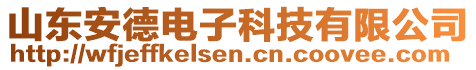 山東安德電子科技有限公司