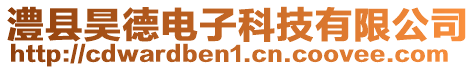 澧縣昊德電子科技有限公司