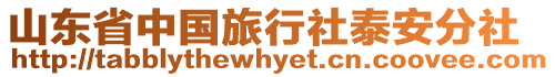 山東省中國旅行社泰安分社