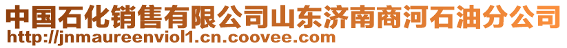 中國(guó)石化銷售有限公司山東濟(jì)南商河石油分公司