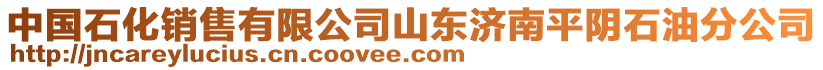 中國石化銷售有限公司山東濟南平陰石油分公司