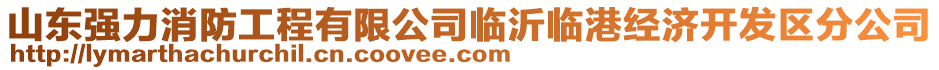 山東強力消防工程有限公司臨沂臨港經(jīng)濟開發(fā)區(qū)分公司