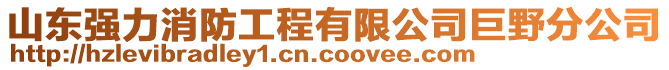 山東強力消防工程有限公司巨野分公司