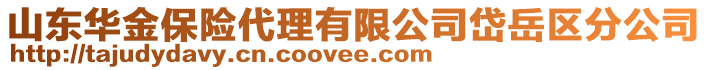 山東華金保險代理有限公司岱岳區分公司