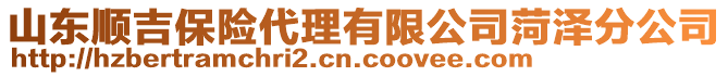 山東順吉保險(xiǎn)代理有限公司菏澤分公司