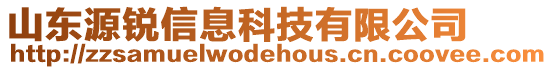 山東源銳信息科技有限公司