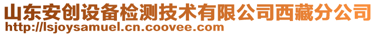 山東安創(chuàng)設(shè)備檢測(cè)技術(shù)有限公司西藏分公司