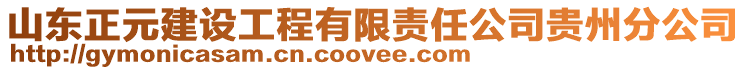 山東正元建設(shè)工程有限責(zé)任公司貴州分公司