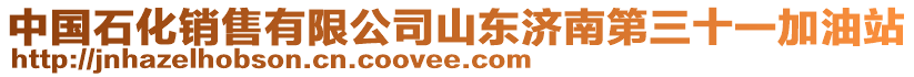 中國石化銷售有限公司山東濟南第三十一加油站