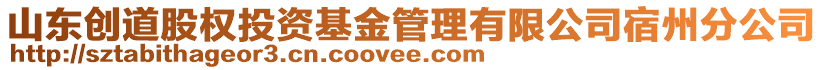 山東創(chuàng)道股權(quán)投資基金管理有限公司宿州分公司