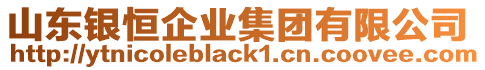 山東銀恒企業(yè)集團(tuán)有限公司