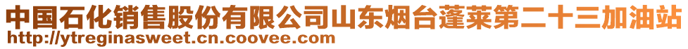 中國石化銷售股份有限公司山東煙臺蓬萊第二十三加油站