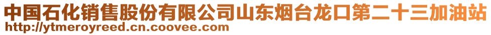 中國石化銷售股份有限公司山東煙臺龍口第二十三加油站