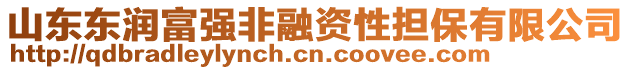 山東東潤富強(qiáng)非融資性擔(dān)保有限公司