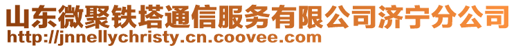 山東微聚鐵塔通信服務有限公司濟寧分公司