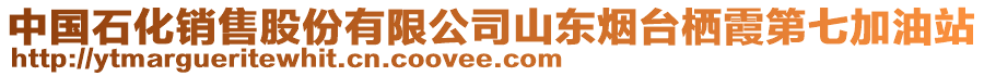 中國石化銷售股份有限公司山東煙臺棲霞第七加油站