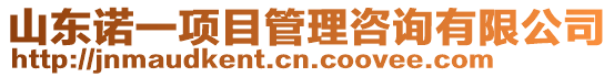 山東諾一項目管理咨詢有限公司