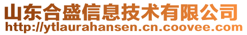 山東合盛信息技術(shù)有限公司