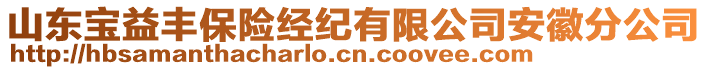 山東寶益豐保險(xiǎn)經(jīng)紀(jì)有限公司安徽分公司